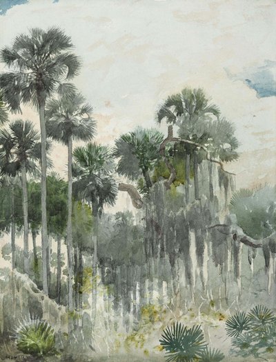 Florida Jungle by Winslow Homer